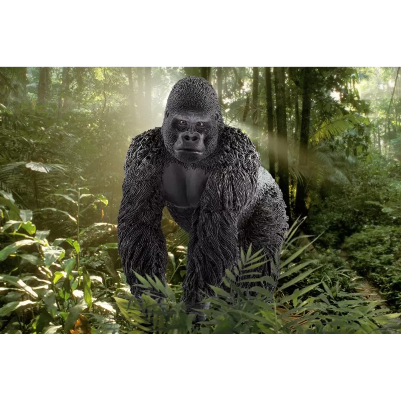 schleich WILD LIFE Gorilla, maschio, 3 anni, Giungla, Animali selvatici/Giocattoli d'avventura, Multicolore, Plastica