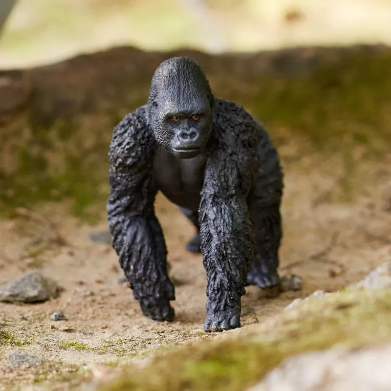 schleich WILD LIFE Gorilla, maschio, 3 anni, Giungla, Animali selvatici/Giocattoli d'avventura, Multicolore, Plastica