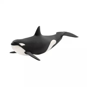 schleich WILD LIFE Orca, 3 anni, Ghiaccio e oceano, Animali selvatici / Giocattoli d'avventura, Multicolore, Plastica, 1 pz.