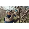 Bosch Pro Pruner Professional cesoia per erba a batteria 2,5 cm 12 V litio-ione (Li-Ion) nero, blu