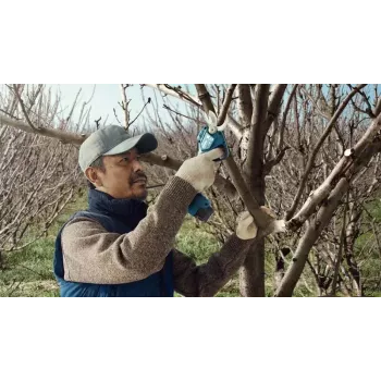 Bosch Pro Pruner Professional cesoia per erba a batteria 2,5 cm 12 V litio-ione (Li-Ion) nero, blu