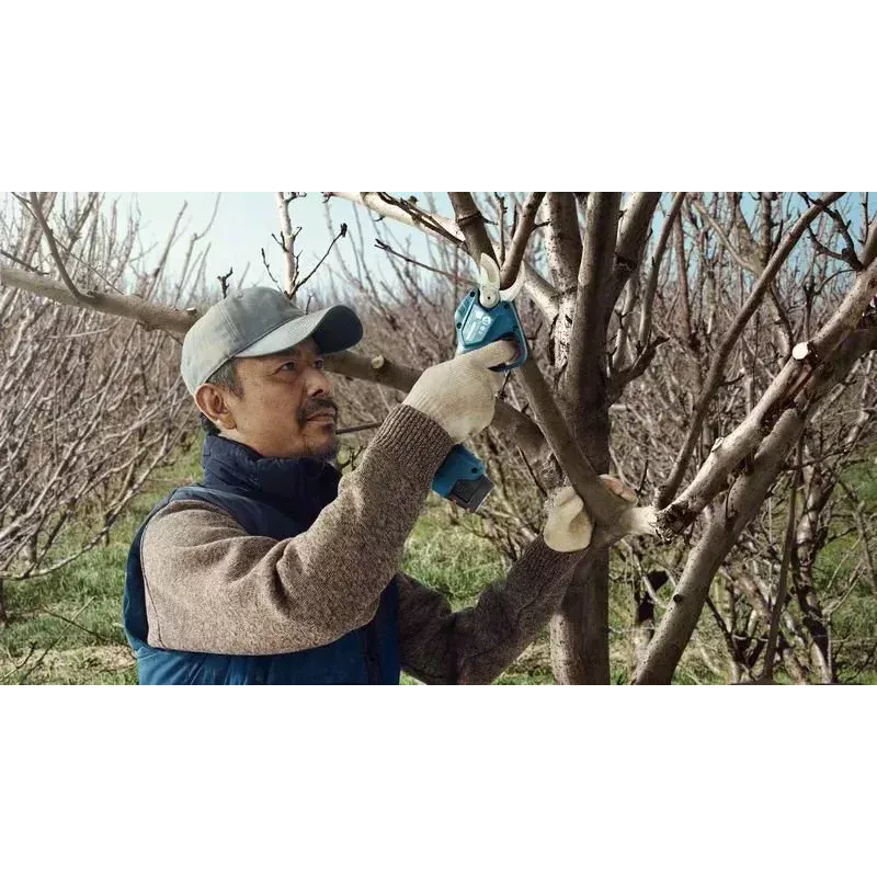 Bosch Pro Pruner Professional cesoia per erba a batteria 2,5 cm 12 V litio-ione (Li-Ion) nero, blu