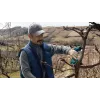 Bosch Pro Pruner Professional cesoia per erba a batteria 2,5 cm 12 V litio-ione (Li-Ion) nero, blu