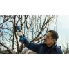 Bosch Pro Pruner Professional cesoia per erba a batteria 2,5 cm 12 V litio-ione (Li-Ion) nero, blu
