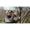 Bosch Pro Pruner Professional cesoia per erba a batteria 2,5 cm 12 V litio-ione (Li-Ion) nero, blu