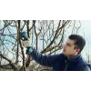 Bosch Pro Pruner Professional cesoia per erba a batteria 2,5 cm 12 V litio-ione (Li-Ion) nero, blu