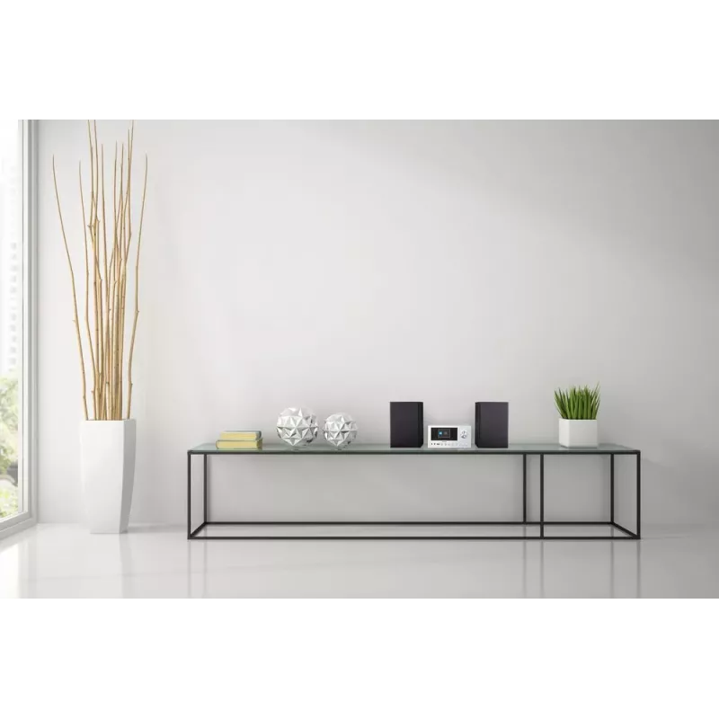 MEDION LIFE P85003 micro impianto audio per la casa 30 W nero, argento