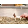 schleich FARM WORLD 14929 figura giocattolo per bambini