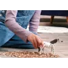 schleich BAYALA 14916 figura giocattolo per bambini