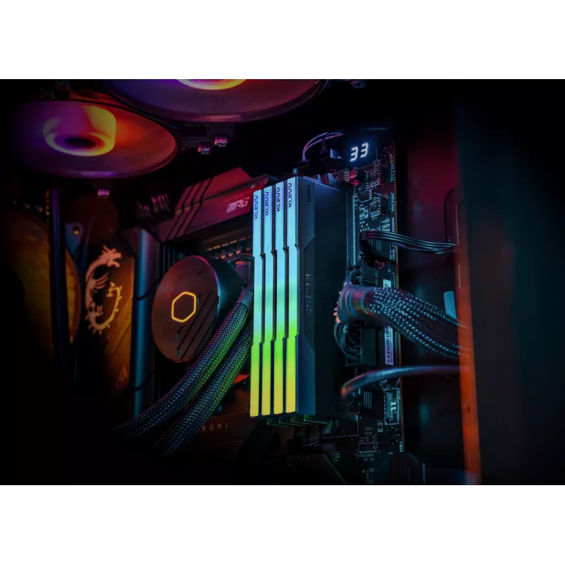 Klevv 64GB (2 x 32GB) 6000MHz CL30 modulo RAM GAMING DDR5 30-36-36-76 CRAS V RGB