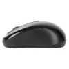 Targus AMW060EU mouse Travel ambidestro RF wireless ottico 1600 DPI