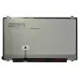 Schermo LED opaco 2-Power 17.3 1600x900 HD+, schermo, 43,9 cm (17,3