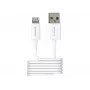 2-Power 2PUC1M02W caricabatterie per dispositivi mobili bianco