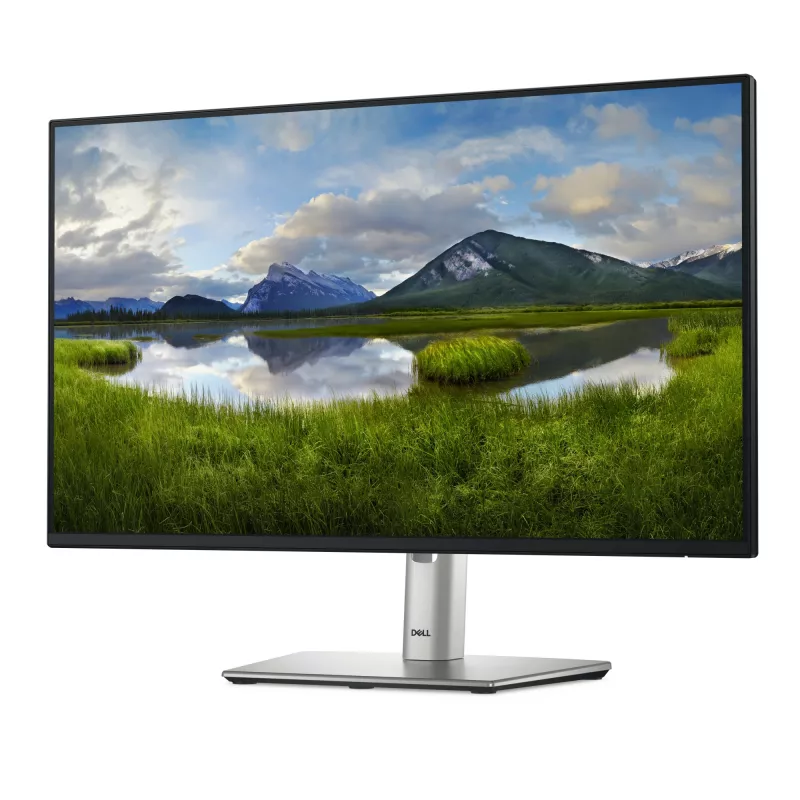 DELL Pro Plus P2425HE Monitor per computer 60,5 cm (23,8