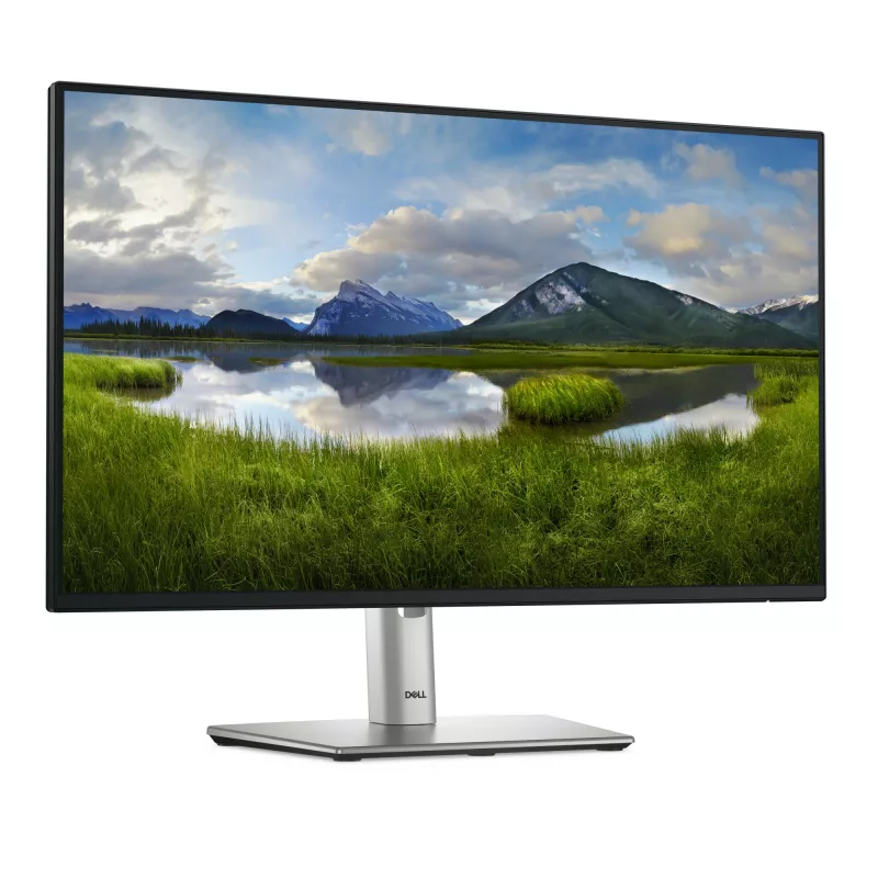 DELL Pro Plus P2425HE Monitor per computer 60,5 cm (23,8