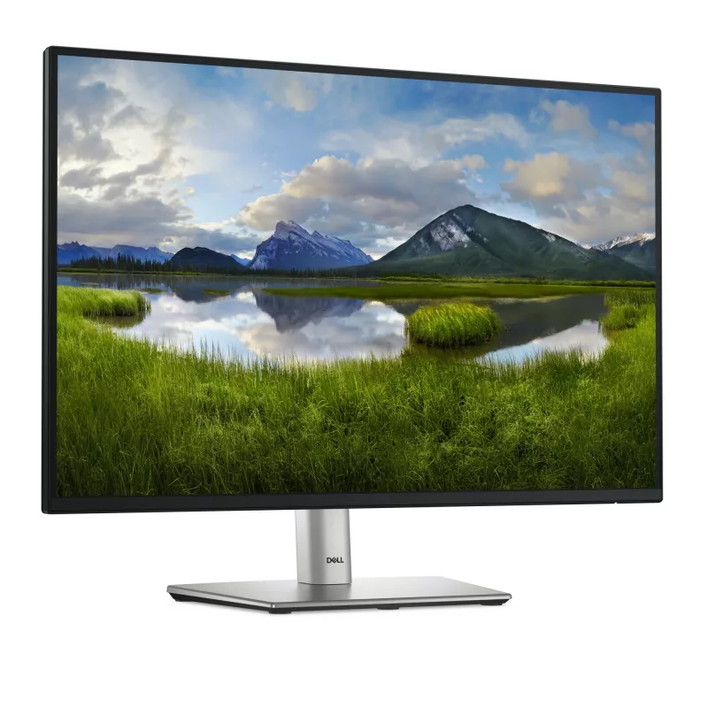 DELL Pro Plus P2425 Monitor per computer 61,1 cm (24,1 inch) 1920 x 1200 Pixel WUXGA LCD nero