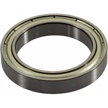 Ricoh G0524618 ricambio/accessorio per stampante/scanner cuscinetto 1 pz.
