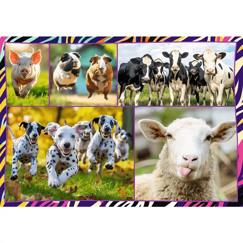 Puzzle TREFL Funny — 4 x 250 pezzi, set a tema per bambini
