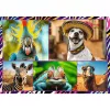 Puzzle TREFL Funny — 4 x 250 pezzi, set a tema per bambini