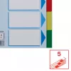 Linguette divisorie ESSELTE 5 pezzi A5 polipropilene colorato, per archiviare e indicizzare