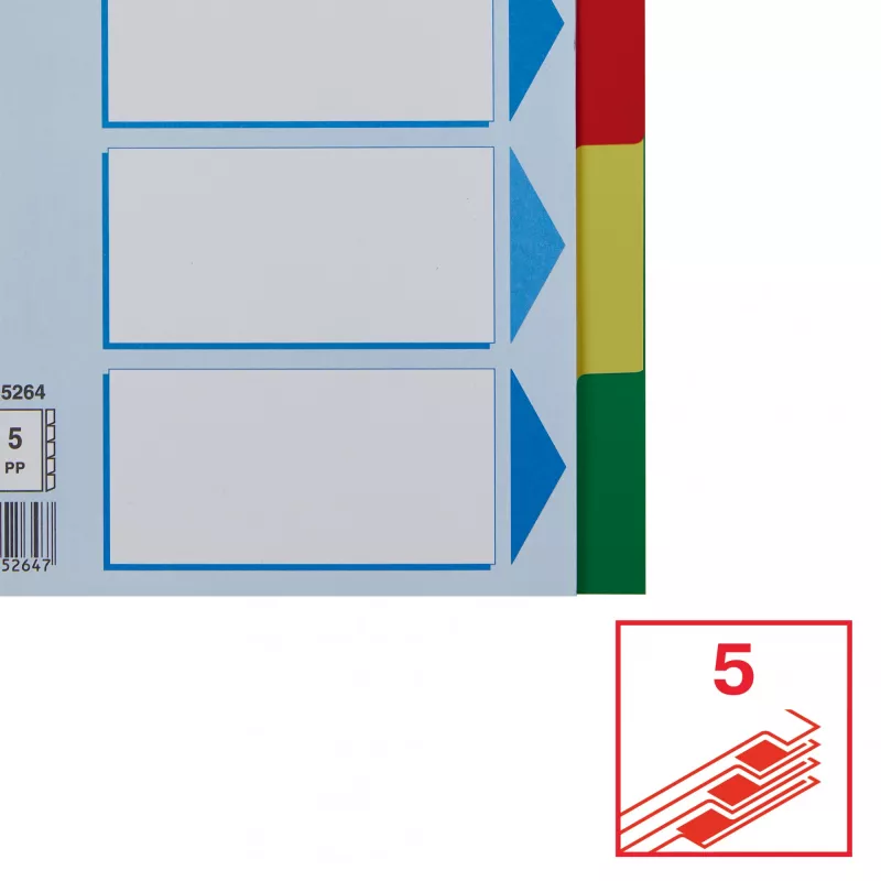 Linguette divisorie ESSELTE 5 pezzi A5 polipropilene colorato, per archiviare e indicizzare