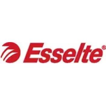 Cartella Esselte Esselte 49923