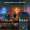 Applique da esterno Govee H7078CD1 Smart RGB con cambio colore, controllo Wi-Fi/app