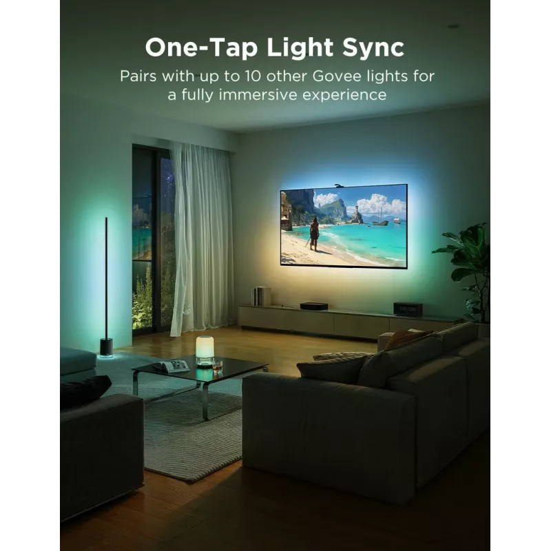 Striscia LED intelligente Govee H66A1 Wi-Fi/Bluetooth 5 m nero