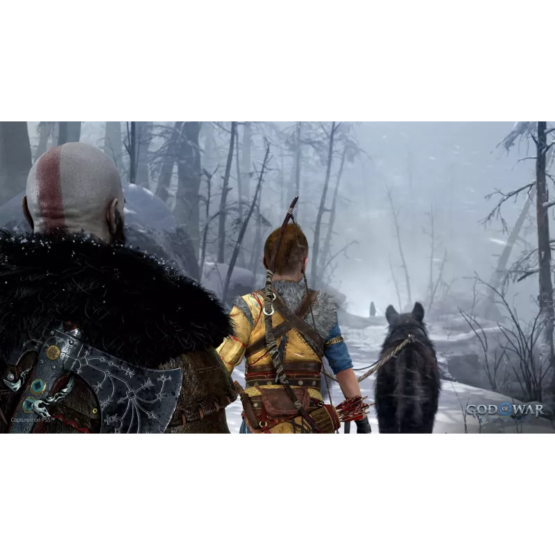 Sony God of War Ragnarök standard italiano PlayStation 4