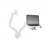 Supporto per laptop Multibrackets M Laptop Holder Gas Lift Arm nero