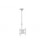 Supporto a soffitto Multibrackets M Public Ceilingmount Medium Single bianco 3000 capacità di carico massima 30 kg dimensione minima schermo 32 pollici dimensione massima schermo 55 pollici