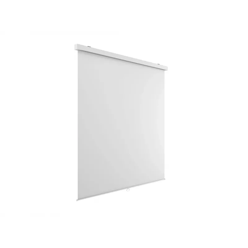 Multibrackets M 1:1 schermo di proiezione manuale 240x240, 135 pollici White Edition