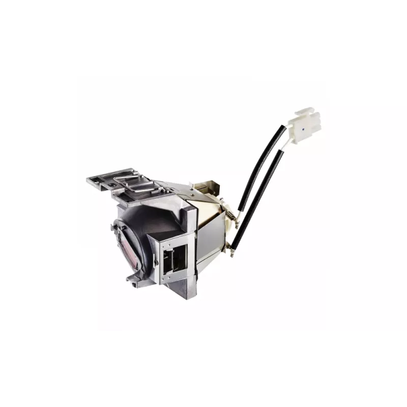 Viewsonic RLC-117 lampada per proiettore