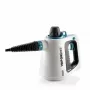 Ariete 4137/00 Pulitore a vapore portatile 0,25 l 1050 W bianco, azzurro