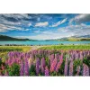 Clementoni High Quality Collection 31731 Puzzle 1500 pezzi Paesaggio