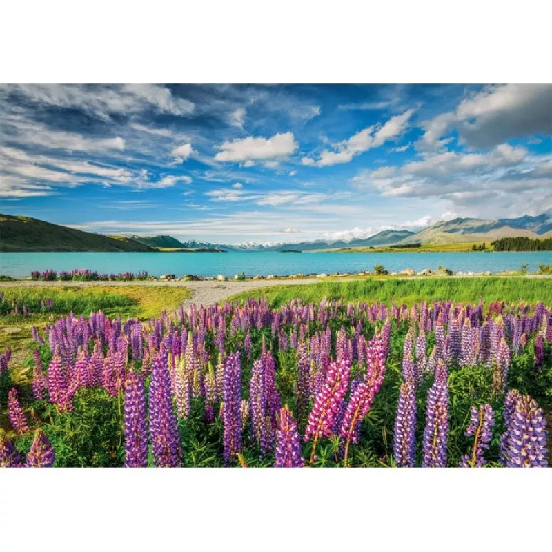 Clementoni High Quality Collection 31731 Puzzle 1500 pezzi Paesaggio