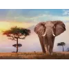 Clementoni African Sunset Puzzle 500 pezzi Animali