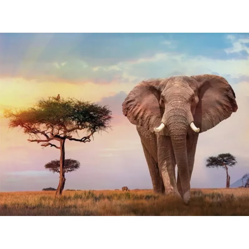 Clementoni African Sunset Puzzle 500 pezzi Animali