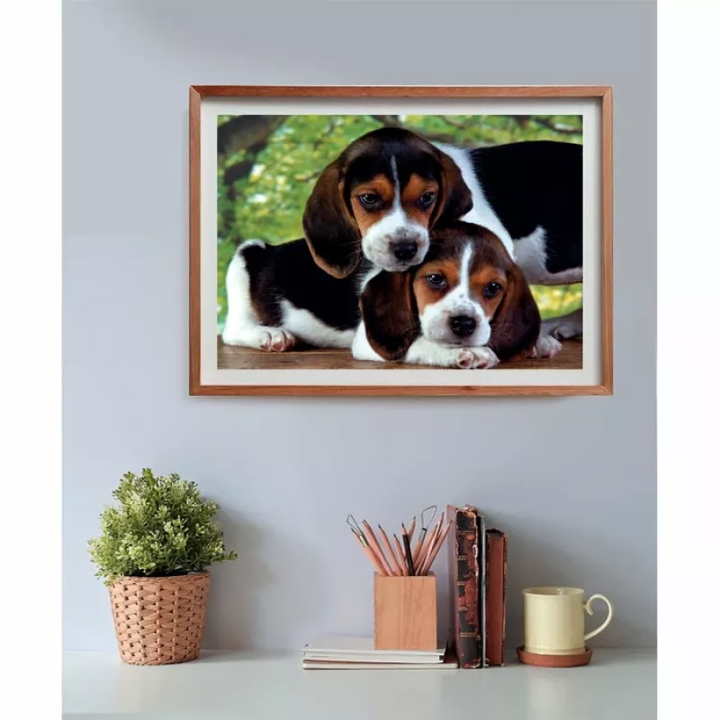 Clementoni High Quality Collection Close Together Puzzle 500 pz. Animali