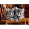 Clementoni High Quality Collection 35580 Puzzle 500 pezzi Animali
