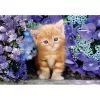 Clementoni High Quality Collection 35585 Puzzle 500 pezzi Animali