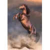 Clementoni 500 pezzi CB HQC Wild Red Stallion