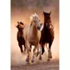 Clementoni Running Horses Puzzle 1000 pezzi Animali