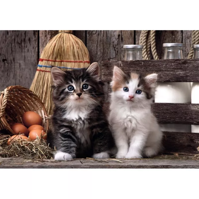 Clementoni High Quality Collection 39943 Puzzle 1000 pezzi Animali