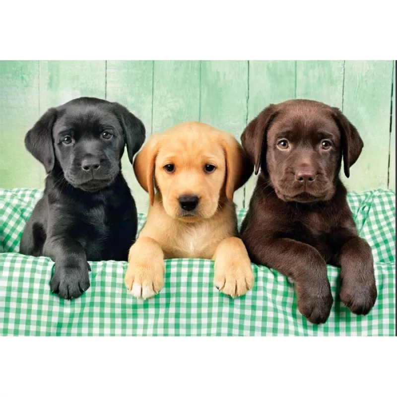 Clementoni High Quality Collection 39946 Puzzle 1000 pz. Animali