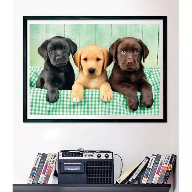 Clementoni High Quality Collection 39946 Puzzle 1000 pz. Animali