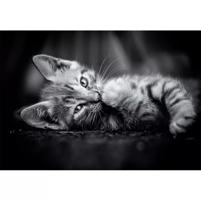 Clementoni High Quality Collection 39950 Puzzle 1000 pz. Animali