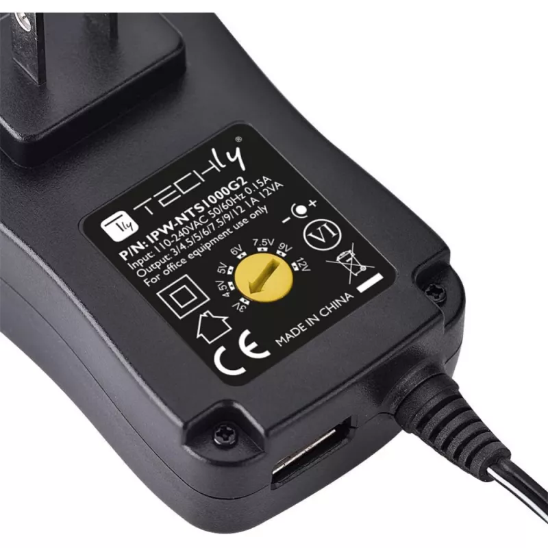 Techly IPW-NTS1000G2 alimentatore/inverter per interni 12 W nero