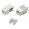 Techly IWP-KIT-C6U90 modulo keystone