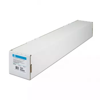 HP Q8916A Everyday Pigment Ink carta fotografica lucida, rotolo da 61 cm x 30,5 m